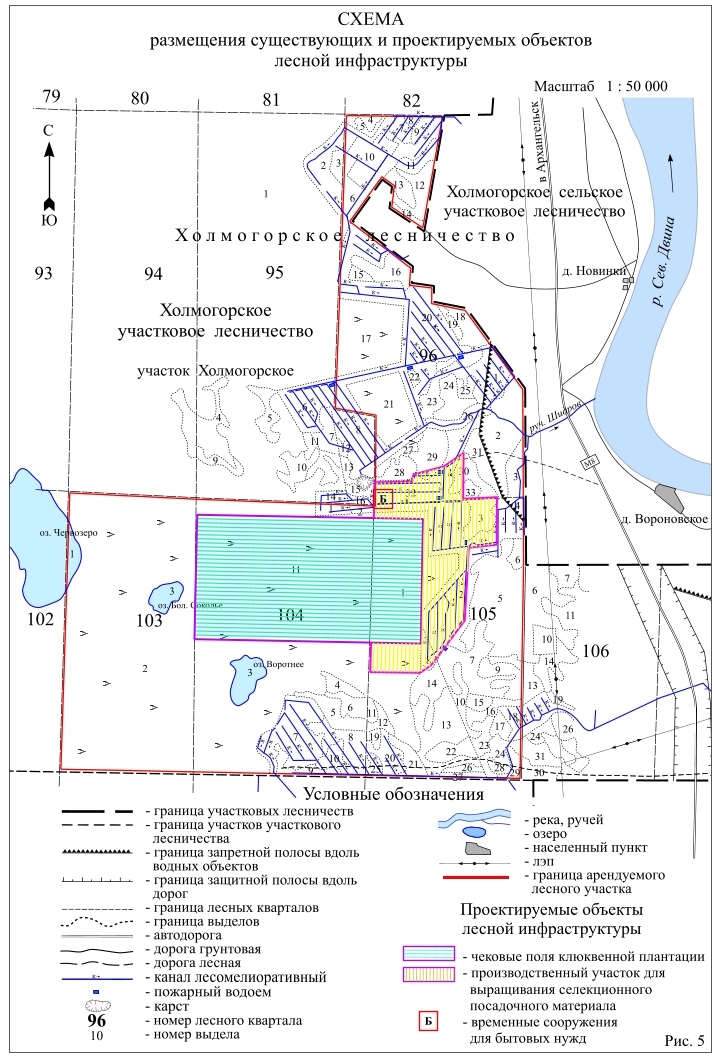 Состав проекта освоения лесов 2023