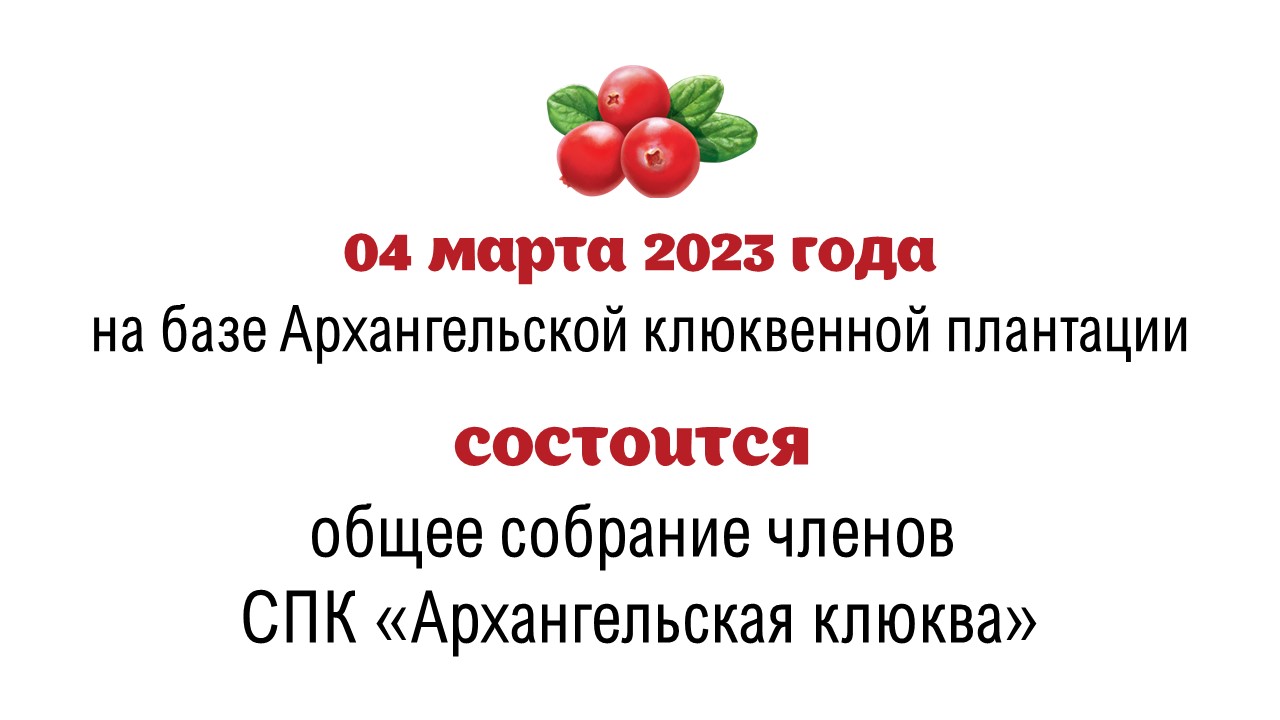 Маленькая хорошая новость - 212 «Управленческая-6» - Архангельская клюква